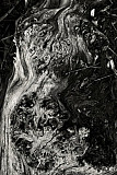 Totem - Mati&egrave;res