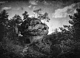 Paysages