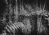 Paysages