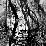 Transparences