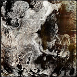 Arbres