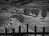 Villaret-Loz&egrave;re  - C&eacute;vennes