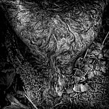 Arbres