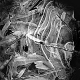 Transparences