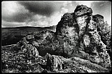 La Courbati&egrave;re - Paysages