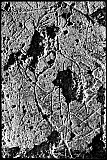 Graffiti /Ch&acirc;teau de Tourno&euml;l