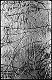 Graffiti /Ch&acirc;teau de Tourno&euml;l