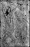 Graffiti /Ch&acirc;teau de Tourno&euml;l