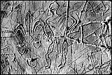 Graffiti /Ch&acirc;teau de Tourno&euml;l