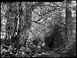 L&agrave;-bas - Paysages