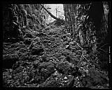 Ravins - Paysages