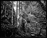 Paysages